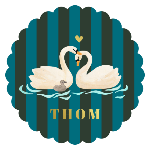 Geboortekaartje jongen Thom,  Zwanen, Goudfolie, Strepen