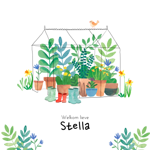 Origineel geboortekaartje 'Stella' | Kasje voor echte tuinliefhebbers