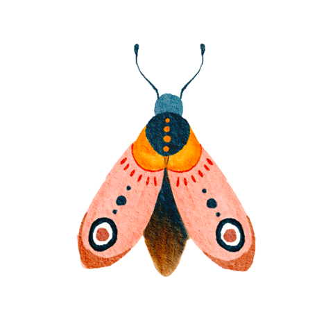 Sluitsticker Nachtvlinder
