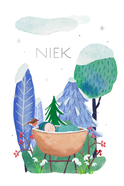 Winter geboortekaartje 'Niek' met wiegje in de natuur