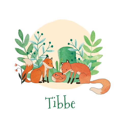 Geboortekaartje Tibbe | Vosjes in het groen