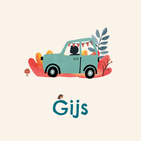 Geboortekaartje Gijs - Jongen in auto