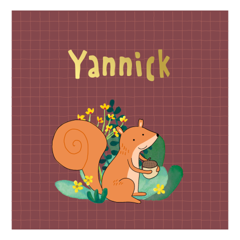 Geboortekaartje Yannick - Eekhoorn in de herfst
