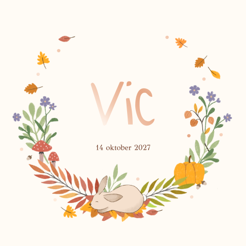 Geboortekaartje Vic - Herfst konijntje