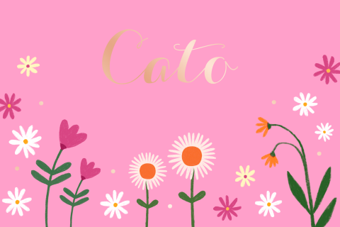 Lief geboortekaartje meisje met bloemen, Cato, Roségoudfolie, Roze