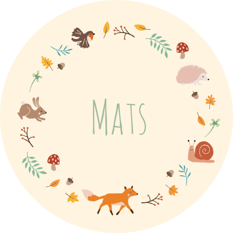 Raamsticker Mats