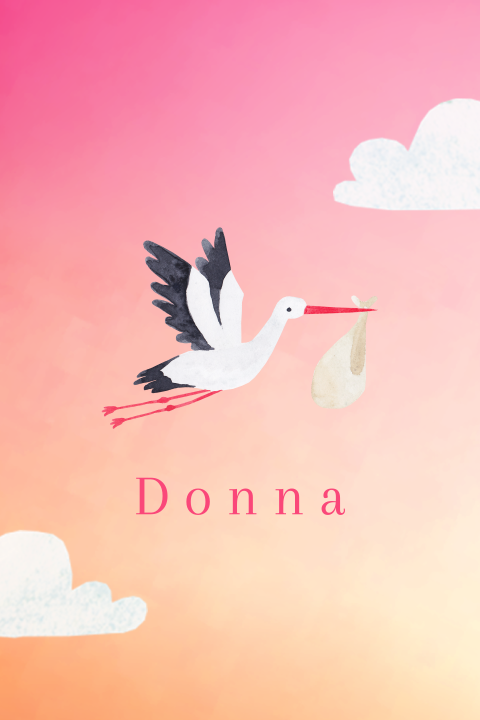 Geboortekaartje Donna  |  Ooievaar in avond lucht