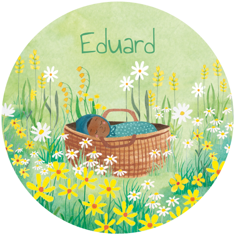 Geboortekaartje Eduard | Mandje in bloemenveld