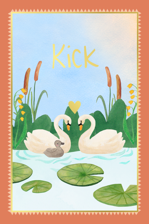 Uniek geboortekaartje 'Kick' met illustratie van zwanen
