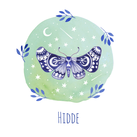 Geboortekaartje Hidde | Nachtvlinder groen