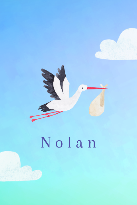 Geboortekaartje Nolan  |  Ooievaar in avond lucht