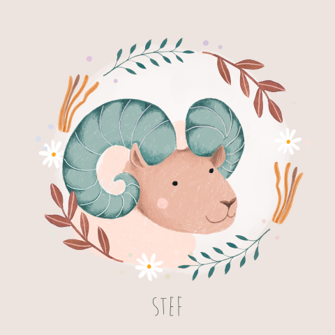 Geboortekaartje Stef | Sterrenbeeld Ram