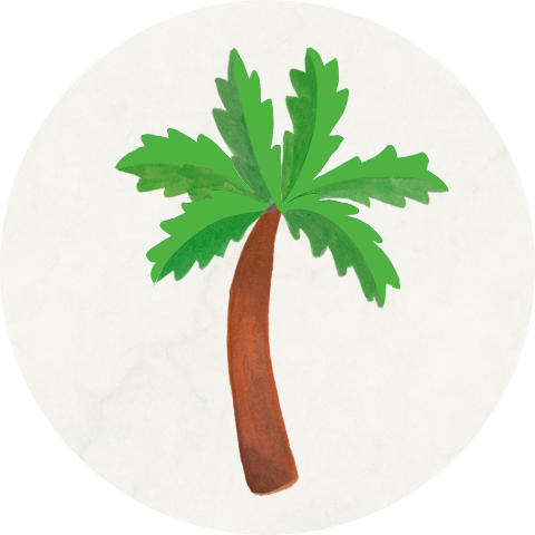 Ronde sluitsticker palmboom – Voor geboortekaartjes en doopsuikers