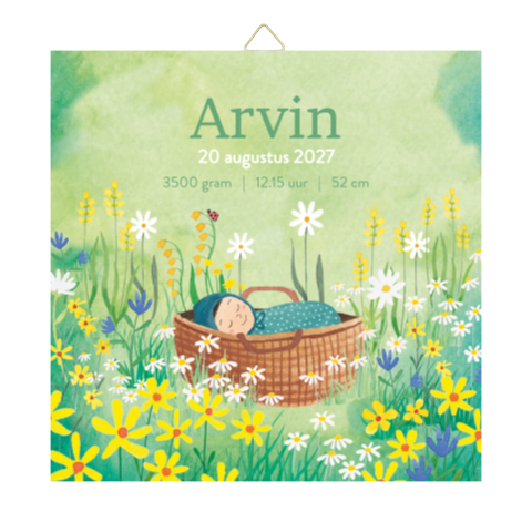 Geboorte tegeltje met baby in een mandje tussen de bloemen