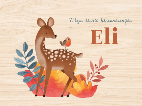 Houten herinneringen kist 'Eli' | Hertje met roodborstje