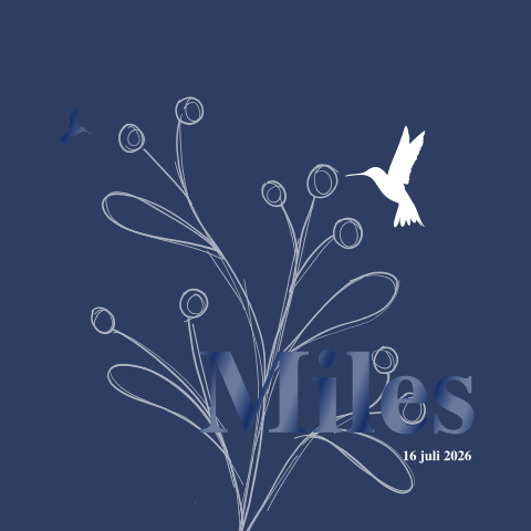 Geboortekaartje vierkant silhouette kolibrie jongen