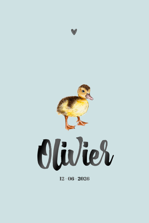 Staande enkel geboortekaartje baby eendje hoogglans zwart Jongen