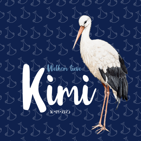 Vierkant dubbel kaartje ooievaar Jongen