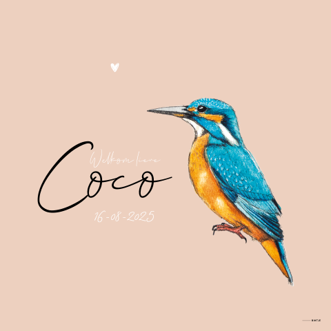 Raambord met Ijsvogel