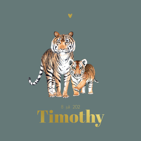 Dubbele geboortekaartje Tijger met baby