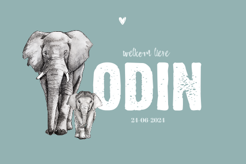 Liggend geboortekaartje baby en grote olifant voor een jongen