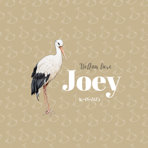 Vierkant dubbel kaartje ooievaar Neutraal