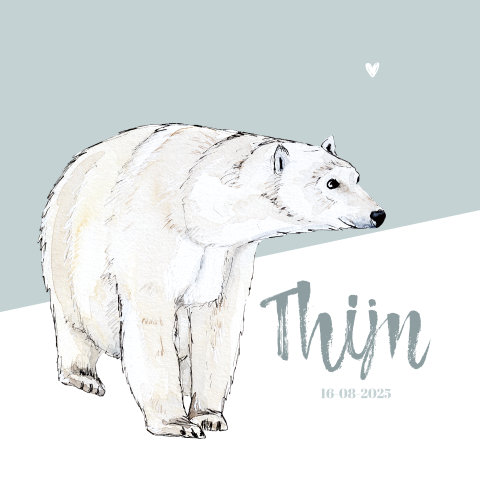 Dubbel geboortekaartje ijsbeer Jongen