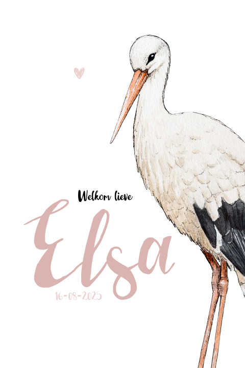Enkel staand geboortekaartje ooievaar Meisje