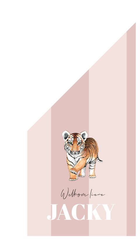 Geboortevlag baby tijger