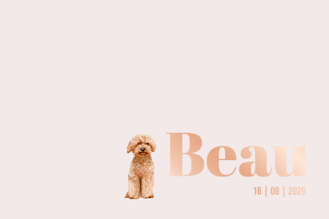 Geboortekaartje meisje met labradoodle en foliedruk