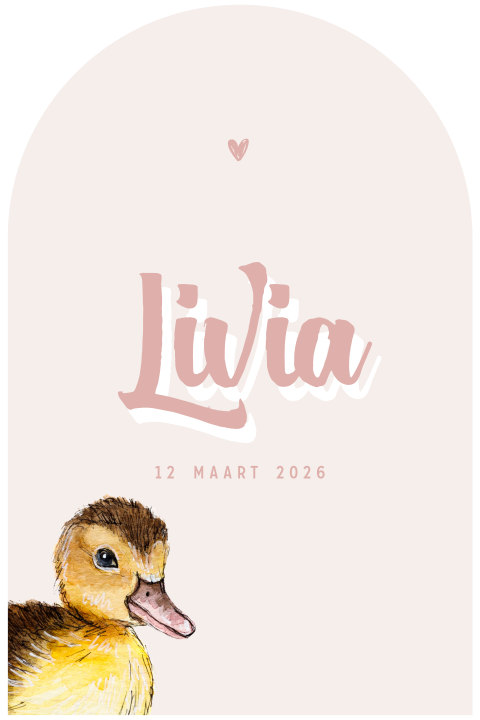 Geboortekaartje Meisje vorm venster baby eendje