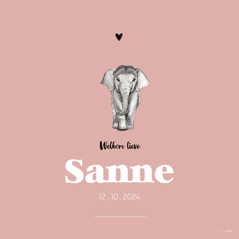 Raambord met baby olifant