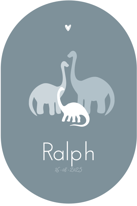 Ovaal geboortekaartje silhouet dino's