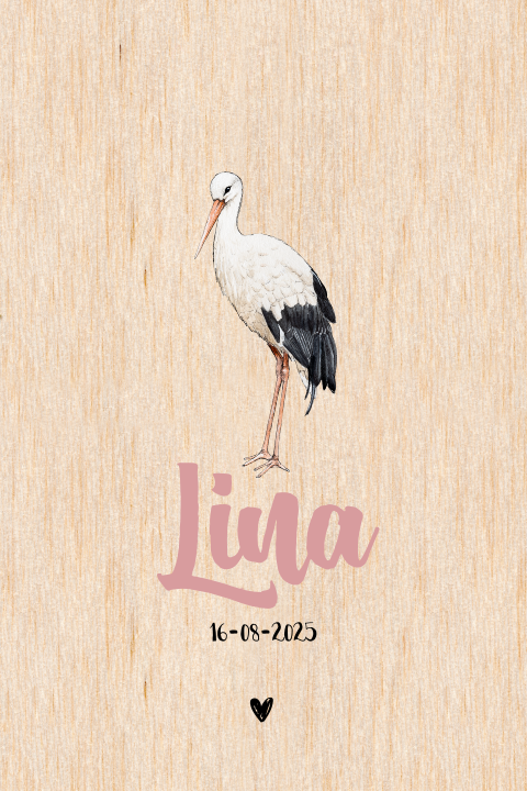 Enkel staand geboortekaartje ooievaar Hout Meisje