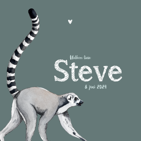 Dubbel geboortekaartje groen Maki voor een Jongen