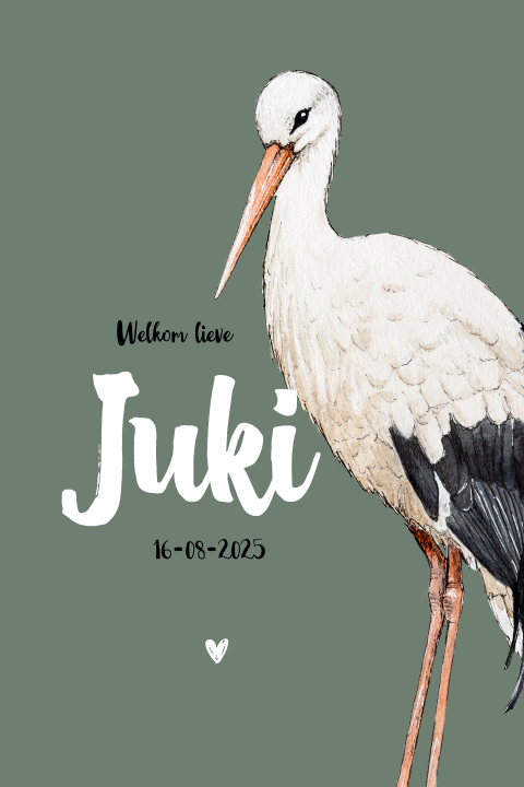 Enkel staand geboortekaartje ooievaar voor een Jongen