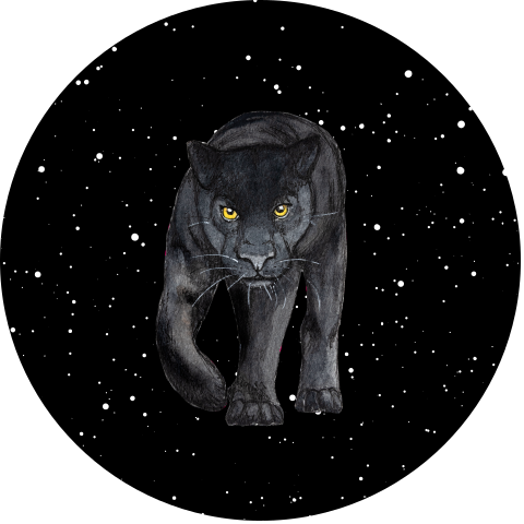 Behangcirkel zwarte panter in de nacht