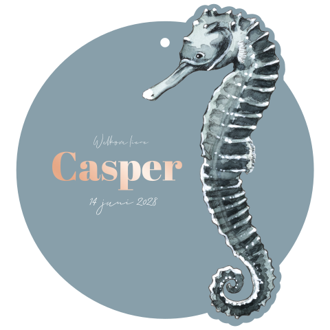 Stanskaartje in de vorm van een zeepaardje blauw