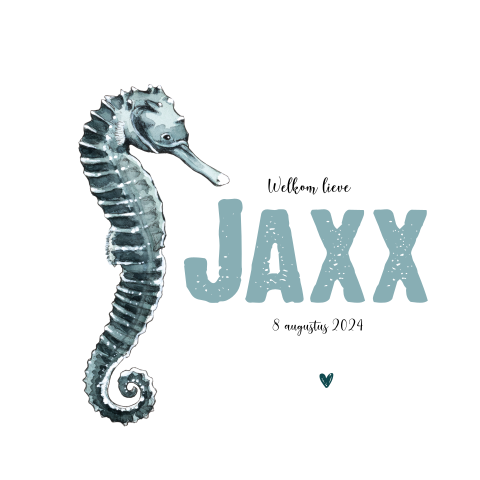 Dubbel wit geboortekaartje Zeepaardje voor een Jongen