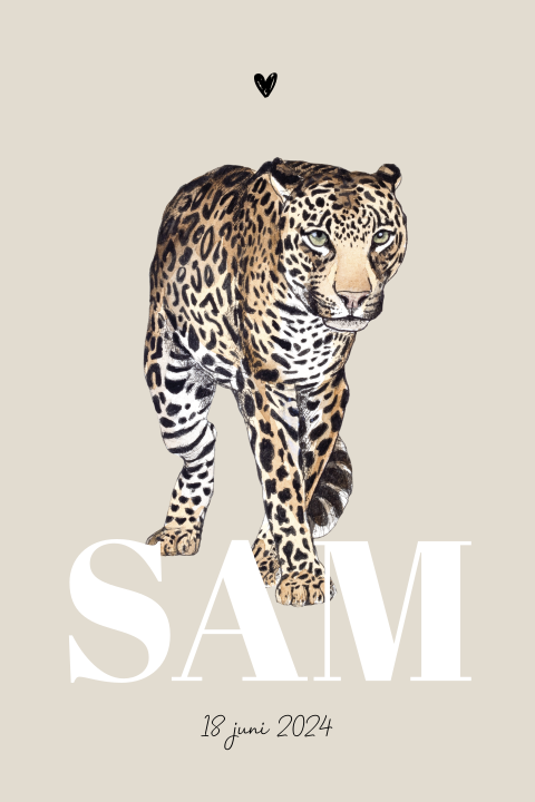 Staand geboortekaartje stoere luipaard Neutraal