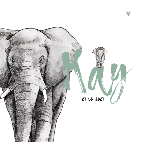 Dubbel geboortekaartje baby en grote olifant voor een Jongen