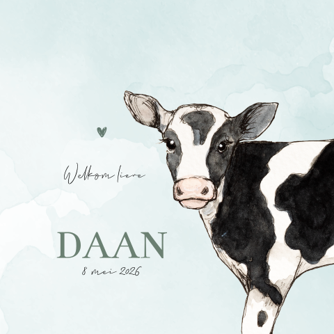 Dubbel geboortekaartje kalfje Jongen met aquarel