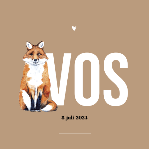 Dubbel geboortekaartje Vos Jongen