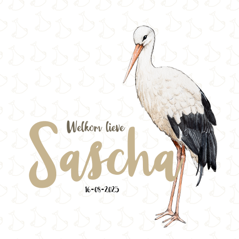 Vierkant dubbel geboortekaartje ooievaar Neutraal