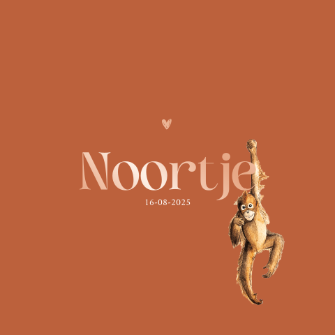 Dubbel geboortekaartje aap vierkant voor een Meisje