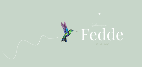 Geboortekaartje met kolibrie panorama jongen