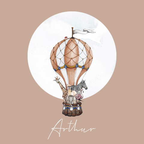 Geboortekaartje vierkant met luchtballon