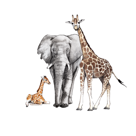 Behangcirkel Jungle familie