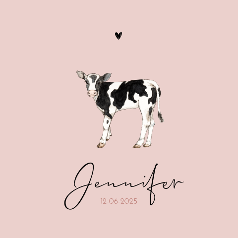 Geboortekaartje meisje kalfje ronde hoeken