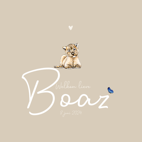 Dubbel geboortekaartje baby leeuw met vlinder